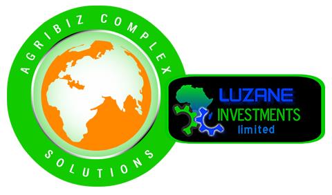 Luzane Investments Ltd